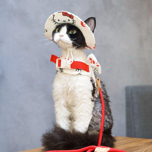 Kitty Bow Adventure Harness Set 🎀🐱